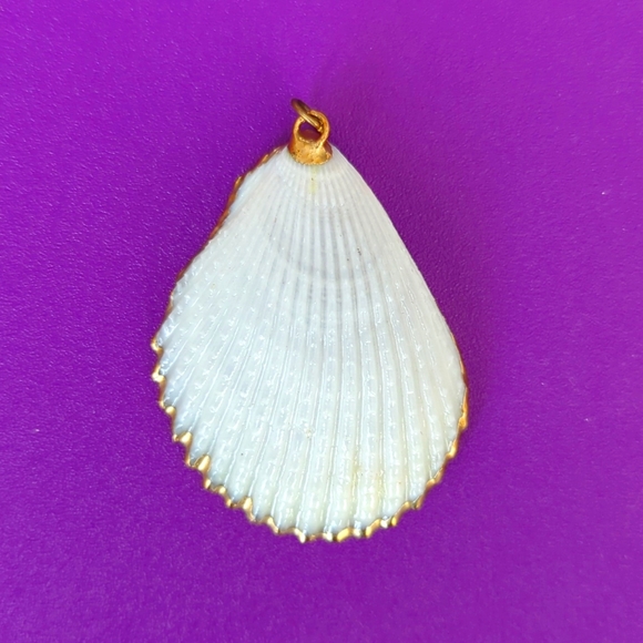 Jewelry - Natural Sea Shell Pendant